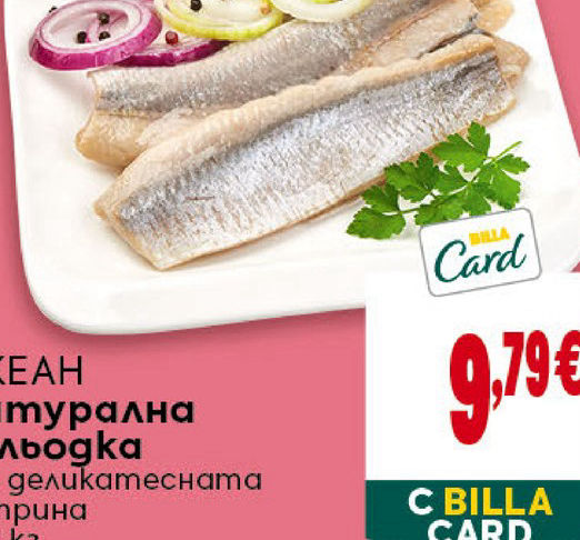 ОКЕАН Намуряна севodka