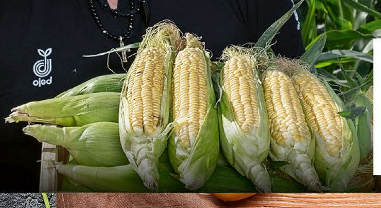 BILLA ГРААДНИ Чаревица