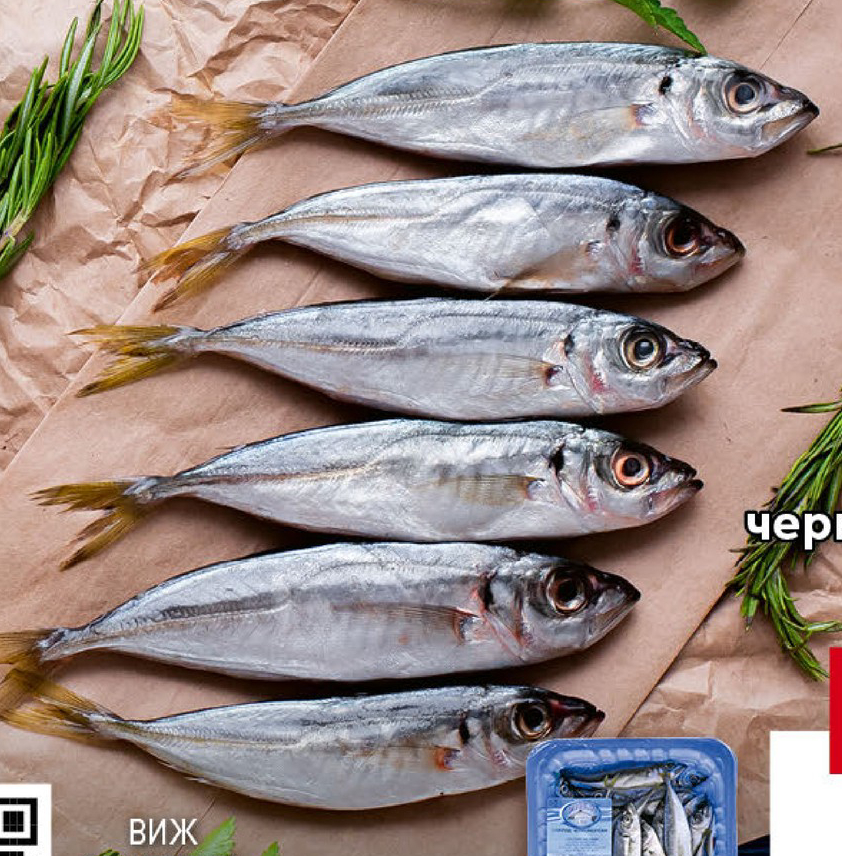 Сафрид черноморски охладен