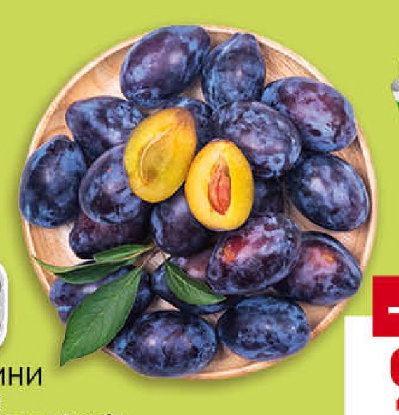 BILLA ГРАДИНИ Сини сливи