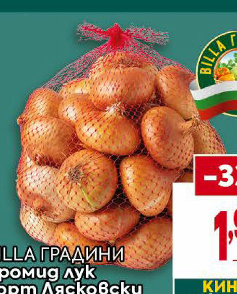 BILLA ГРАДИНИ Кромид лук сорт Лясковски Градините в с. Милево 5 кг